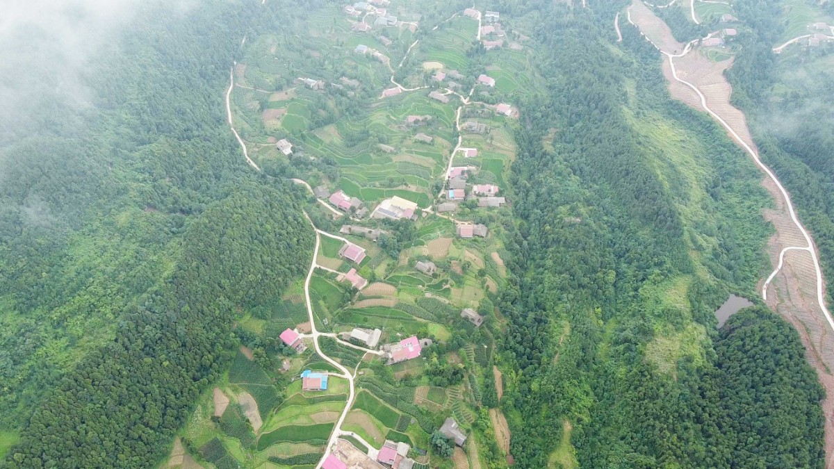 DJI_0974.00_01_23_21.静止001-11.jpg